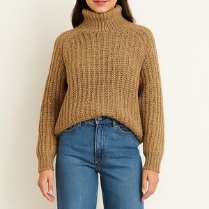 Lavon Oversized Chunky Knit Turtleneck Sweater